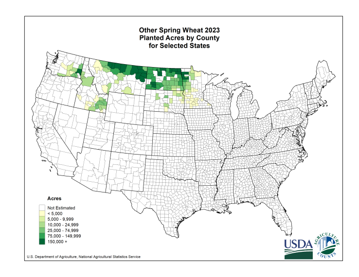 Spring Wheat: Planted Acreage by County