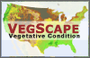 VegScape