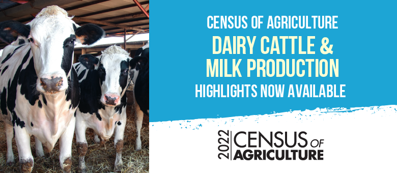 2022 Census of Agriculture dairy cattle and milk production highlights now available.