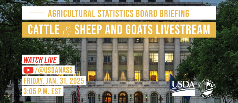 Watch the cattle, shaeep and goats Agricultural Statistics Board Briefing on Friday, Jan. 31, 2025 at 3:05 p.m. EST