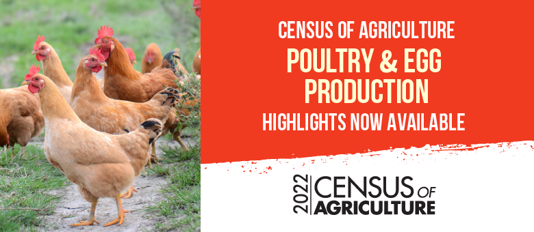 Census of Agriculture Poultry and Egg Production Highlights now available.