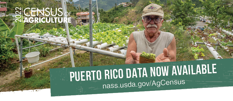 Puerto Rico Data Now Available