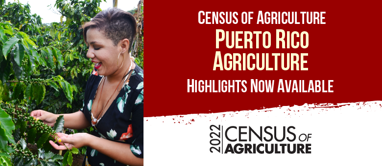 Puerto Rico Census of Agriculture highlights now available